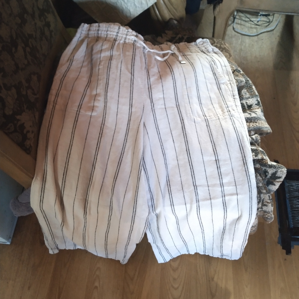 Dress Pants